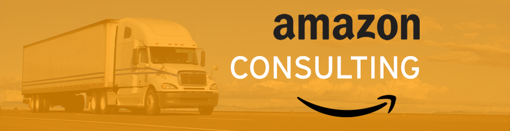 Best Amazon Consultant